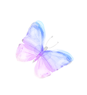 ✦ ···· ✦ ····