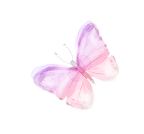 ····✦ ····✦